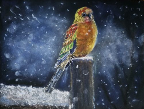 Farbklang im Schnee