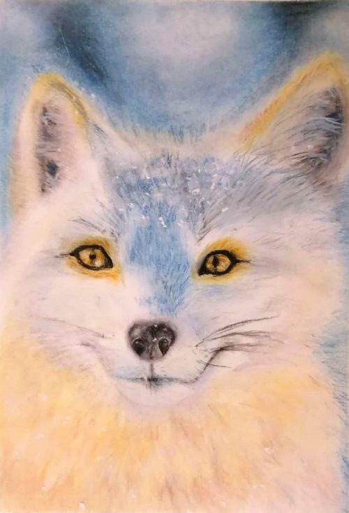 Polarfuchs